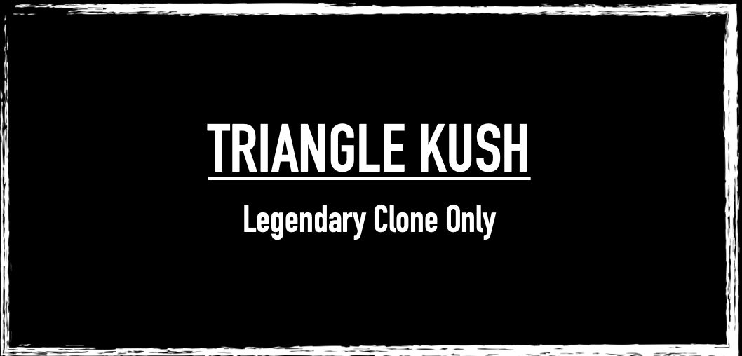 Triangle Kush