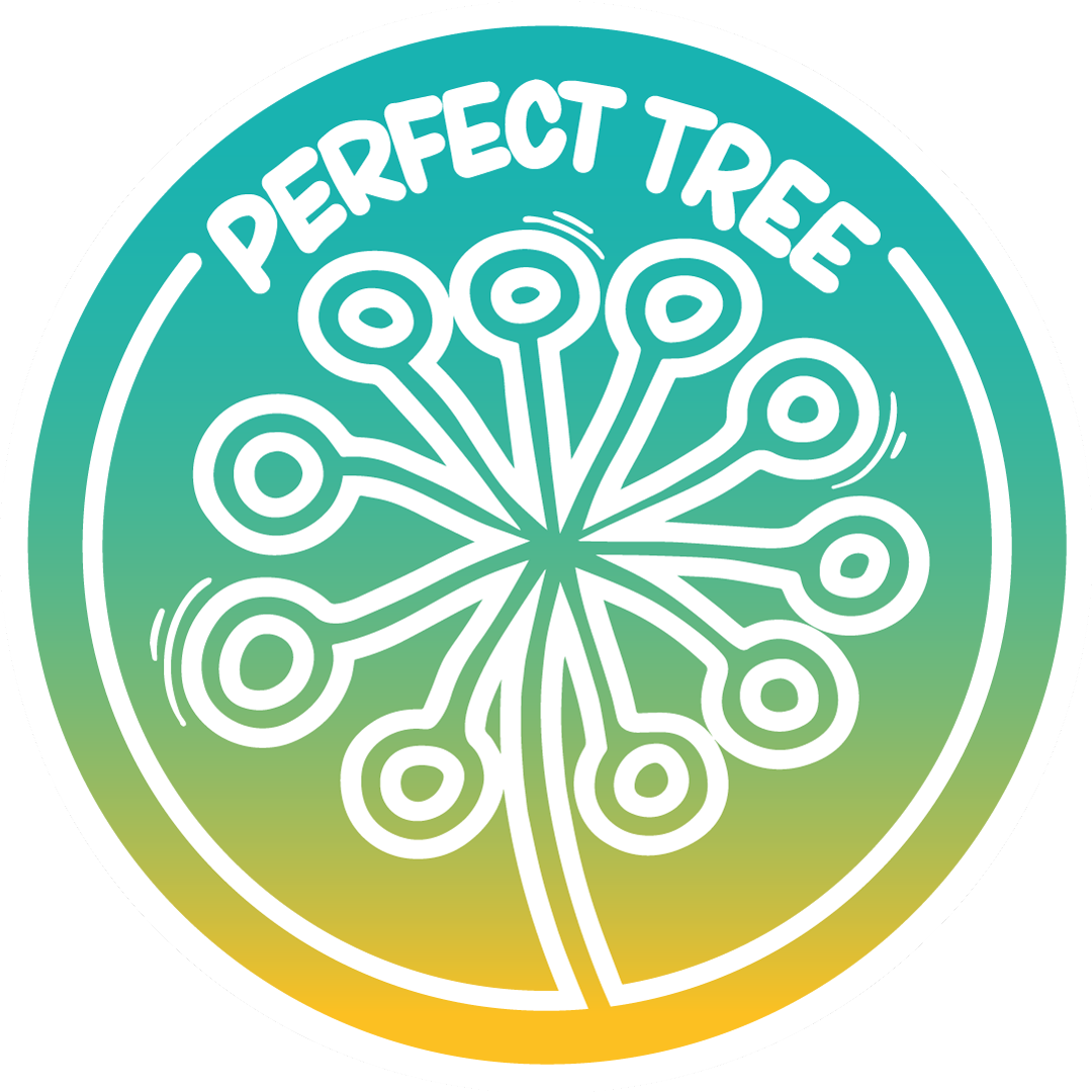 Cherry Tini S1 | Perfect Tree Seeds | 6 Feminized Seeds
