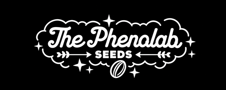 The Pheno Lab