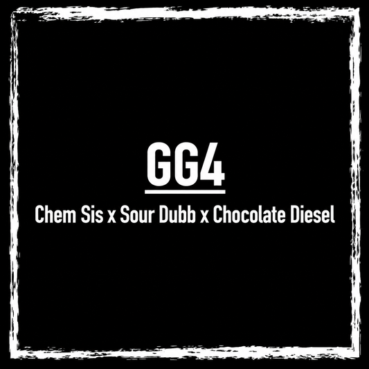 Guerilla Glue 4