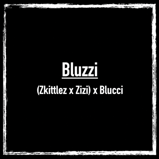 Bluzzi