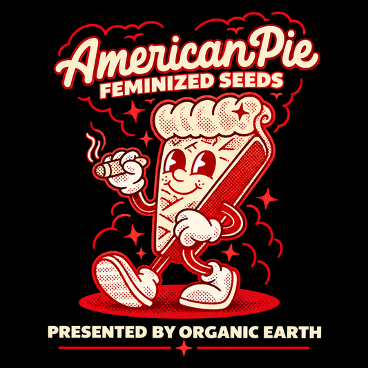 American Pie | The Pheno Lab | 5 Feminized Seeds