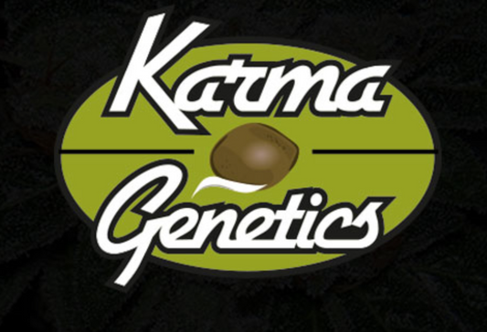 Karma Sour Diesel Bx2 | Karma Genetics | 12 Regular Seeds