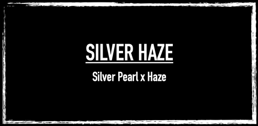 Silver Haze