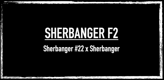 Sherbanger F2