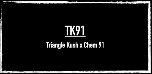 TK91