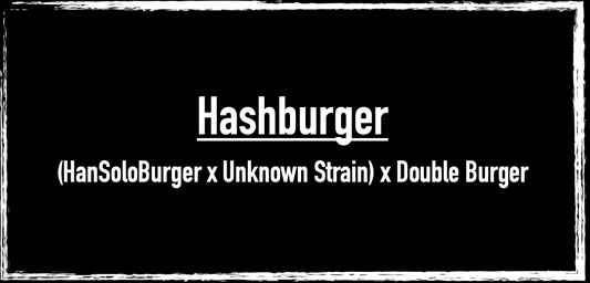 Hashburger