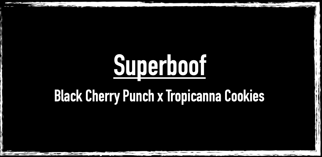 Superboof
