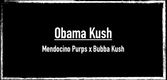 Obama Kush