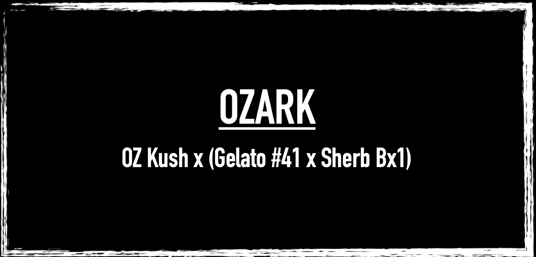 Ozark