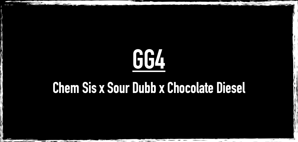 GG4