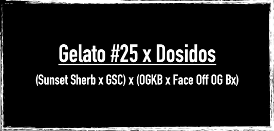 Gelato #25 x Dosidos