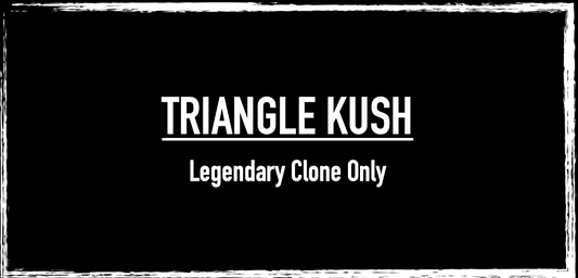 Triangle Kush