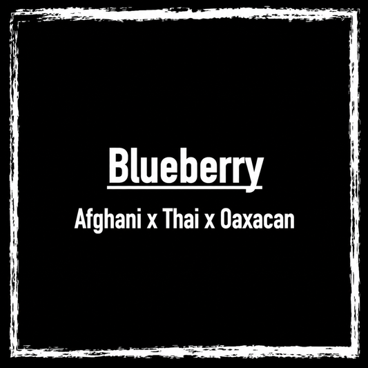 Blueberry