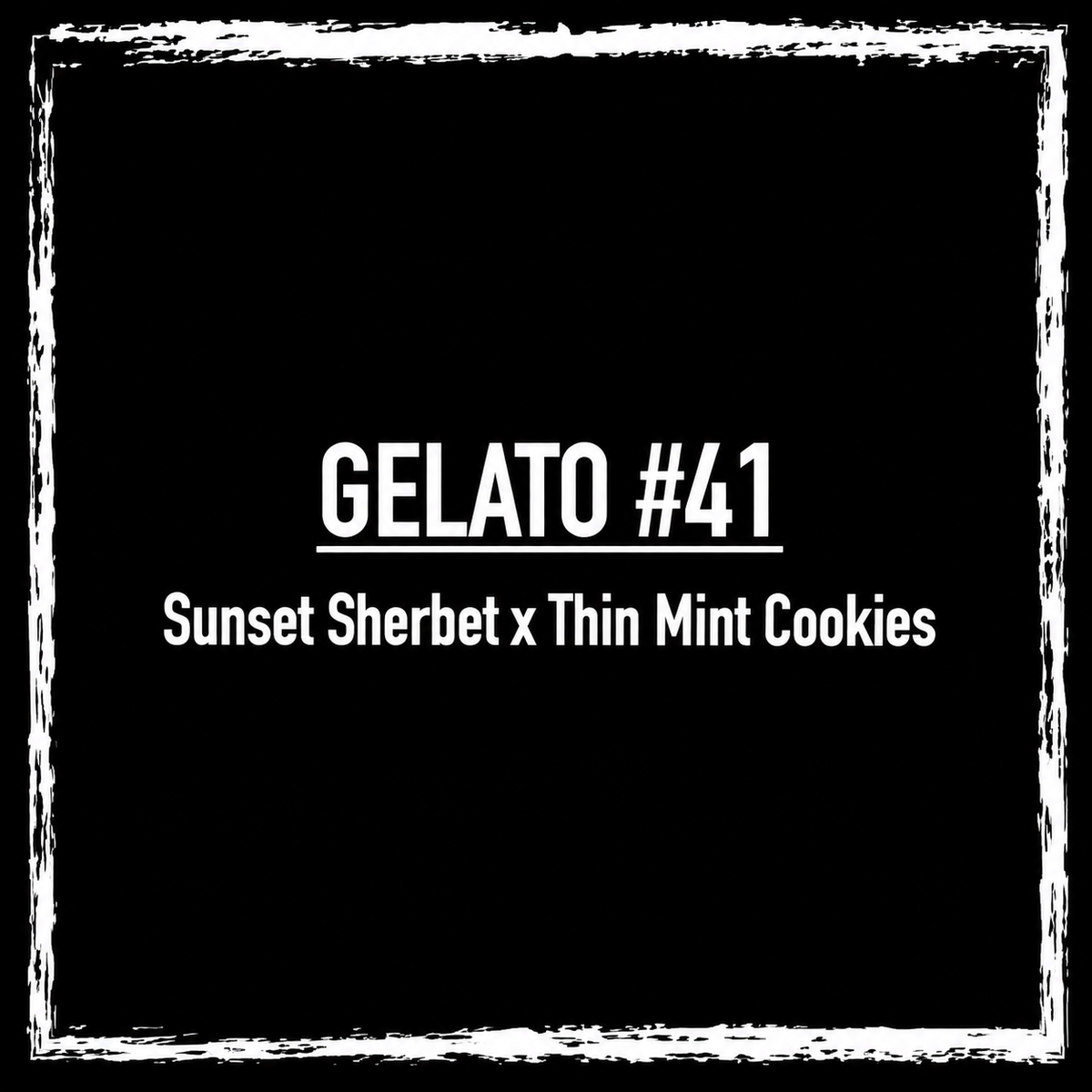 Gelato #41, also known as Bacio Gelato
