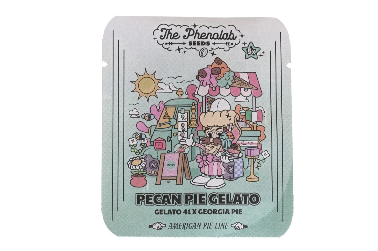 Pecan Pie Gelato | The Pheno Lab | 5 Feminized Seeds