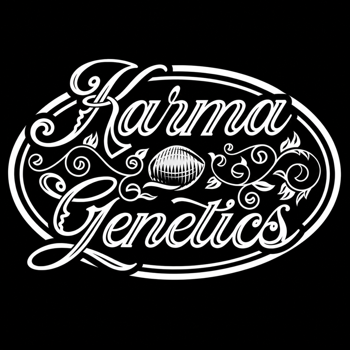Pink Pie | Karma Genetics | 6 Feminized Seeds