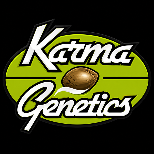 Headbanger | Karma Genetics | 12 Regular Seeds