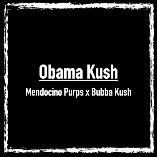 Obama Kush