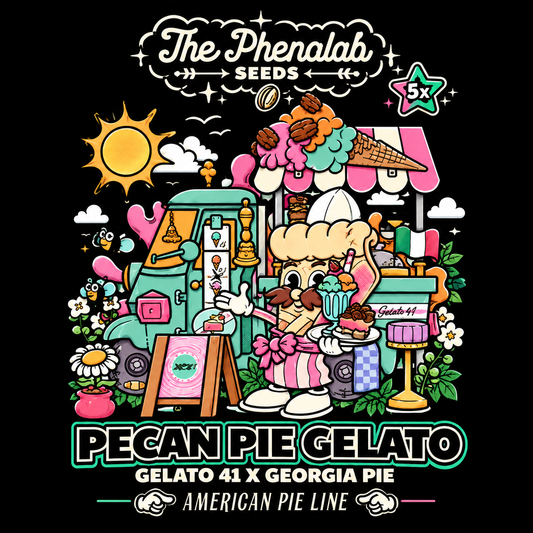 Pecan Pie Gelato | The Pheno Lab | 5 Feminized Seeds