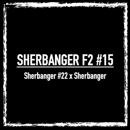 Sherbanger F2 #15 (Bulk)