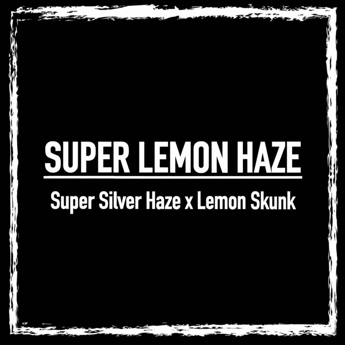 Super Lemon Haze 2010