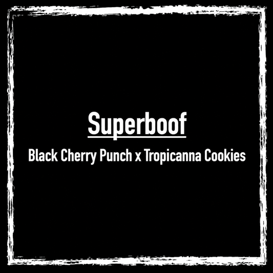 Superboof (Bulk)