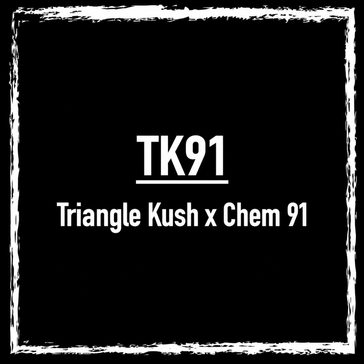 TK91