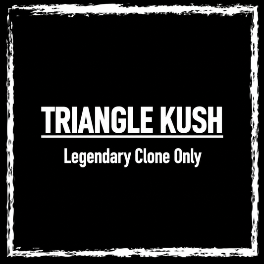Triangle Kush